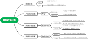 目标市场分析