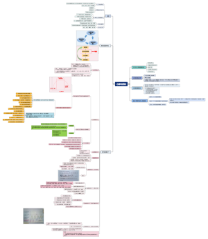 教育心理学C证思维导图