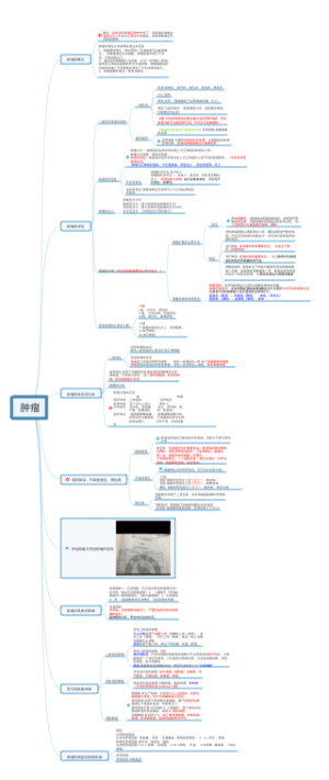 病理学第四章肿瘤 