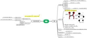 视路和视觉反射通路