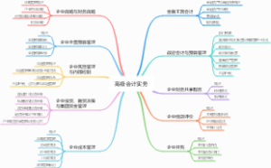 2025年高级会计实务