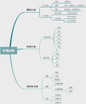 初二上 生物分类