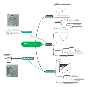 侯依婷 孔琪Chapter 6 Government Actions in Markets