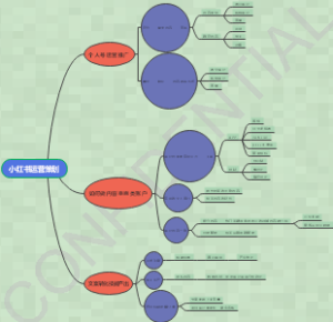 小红书运营策划