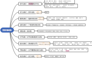 无脊椎动物