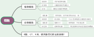 细胞的基本结构