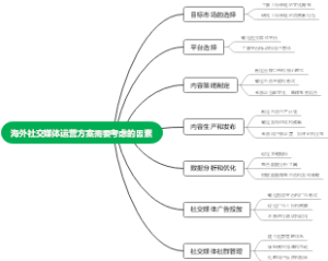 海外社交媒体运营方案需要考虑的因素