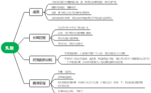 乳酸成因