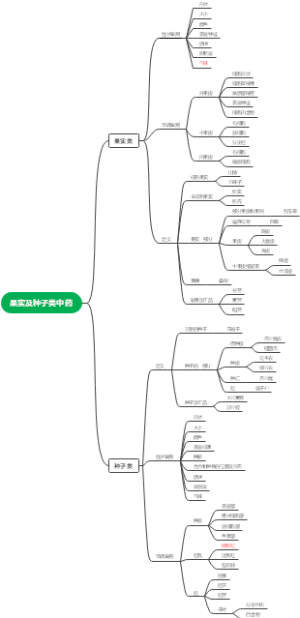 果实及种子类中药