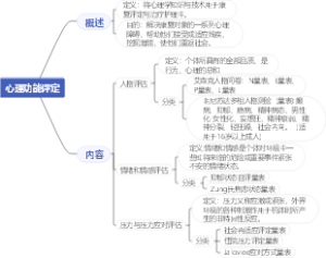 心理功能评定