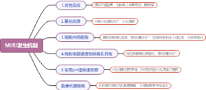 MIRI发生机制
