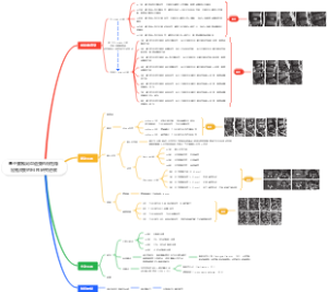 基于腰椎间盘退变的脊柱稳定性改变的MRI研究进展