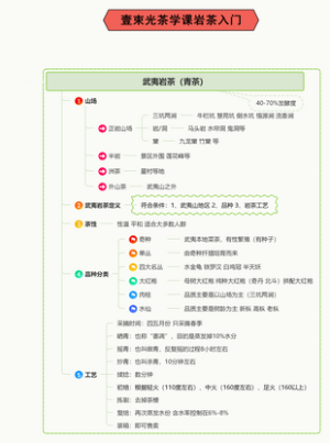 武夷岩茶入门课