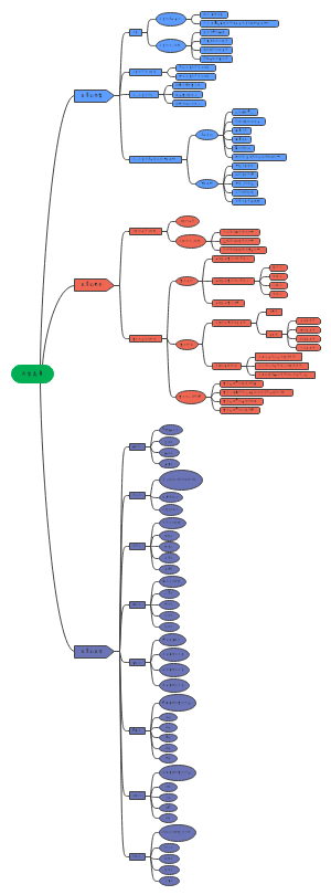 美育﻿思维导图