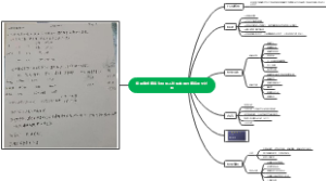 应用流式细胞仪检测人外周血淋巴细胞的全过程