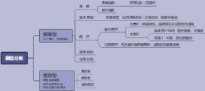 保险分类