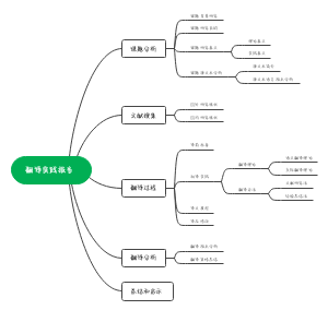 翻译实践报告