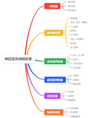 神经系统体格检查