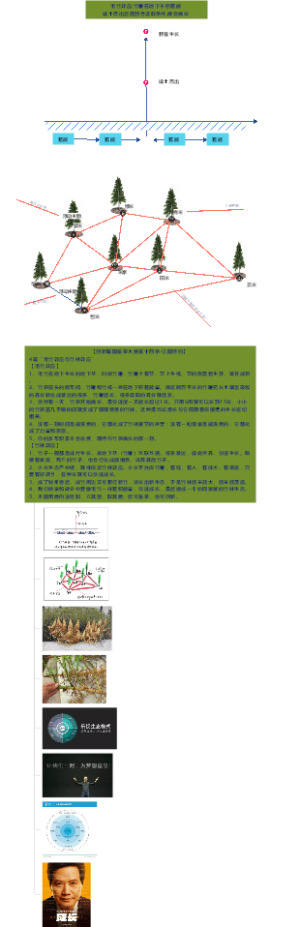 4篇“毛竹效应与竹林效应