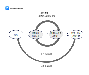 组织级项目管理