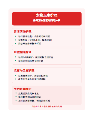 宠物卫生