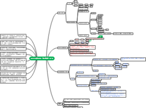 从0到10的组织进化