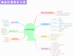 微信建设策划大纲