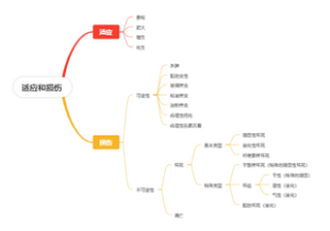  细胞组织的适应和损伤