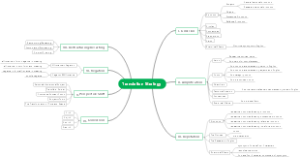 Translation Strategy