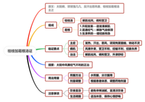 桂枝加葛根汤证