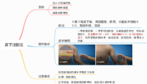 皮下注射法