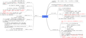 上皮组织