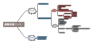 动物分类（一）