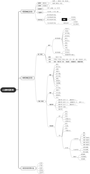 人体神经系统