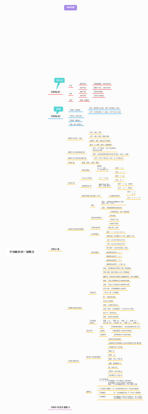 口腔解剖生理学