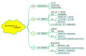 胰岛素的前世今生       ---王国梅制作