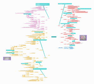 种子植物的营养器官