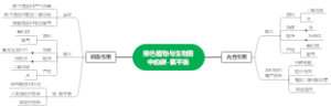 绿色植物与生物圈中的碳-氧平衡