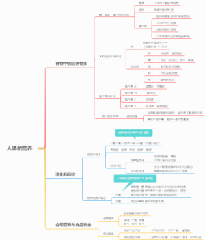 人体的营养