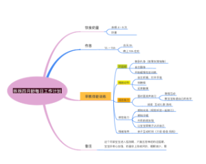 4月龄早教思维导图