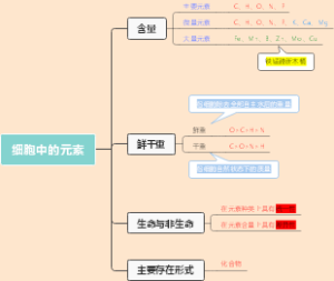 细胞中的元素