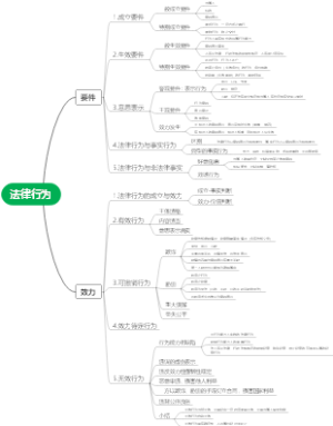 民法总论：法律行为的要件和效力