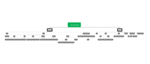 学前儿童的认知发展