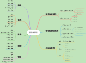 管理学原理