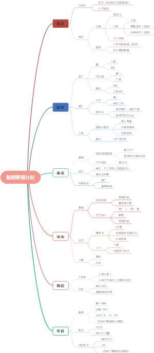 陈熙寒假计划