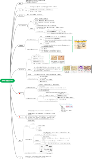6第 5 章 再生障碍性贫血AA