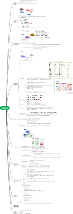 6第 3 章 缺铁性贫血