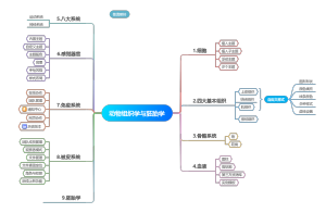 动物组织学与胚胎学
