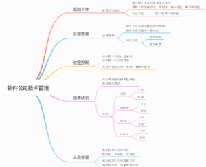 软件公司技术管理