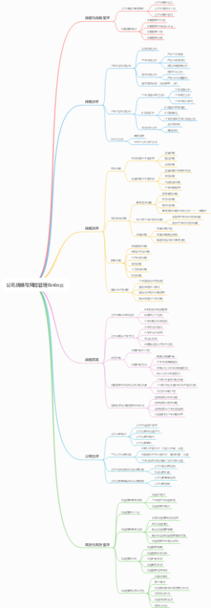 公司战略与风险管理nbsp;